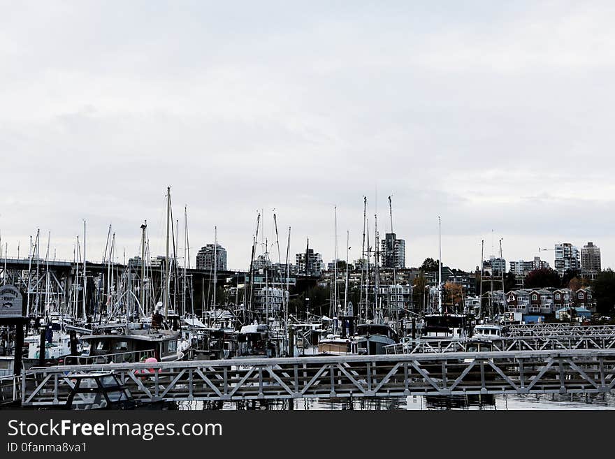 Boats Mast Forest