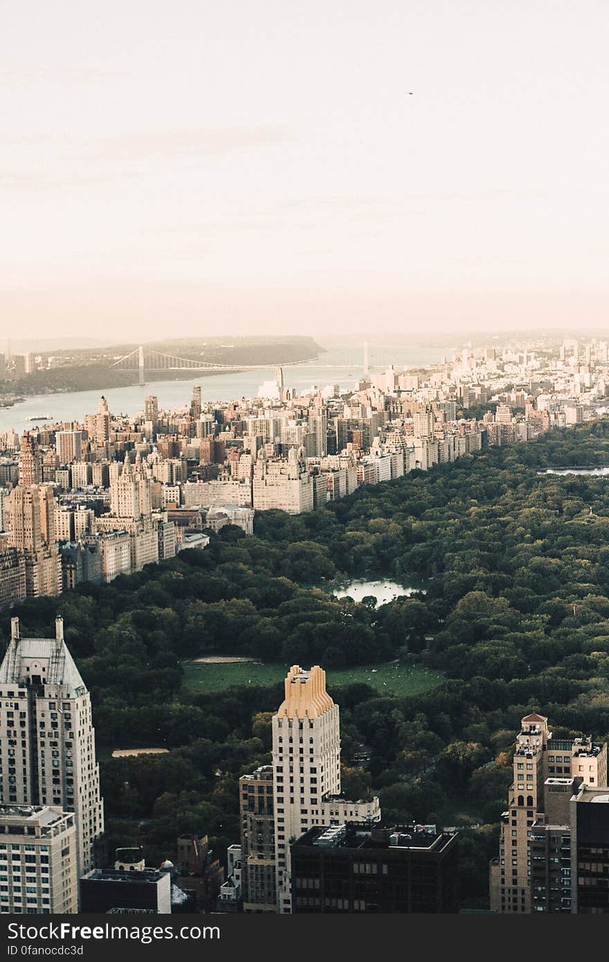 Central Park View