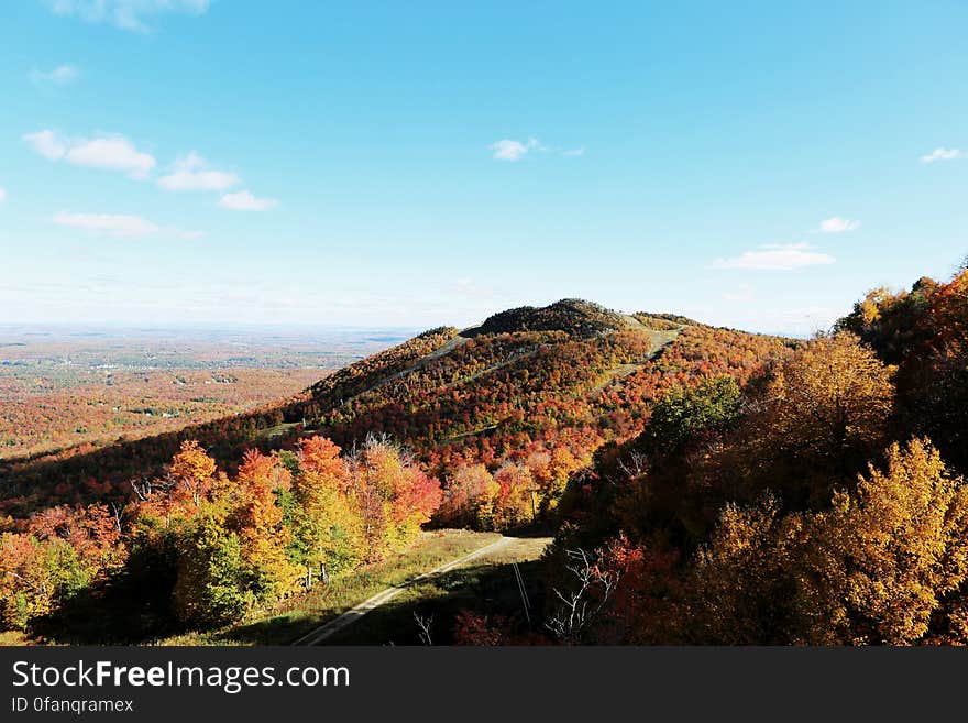 Fall Landscape