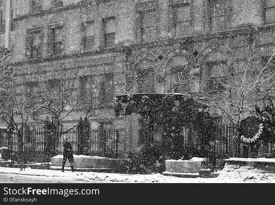 Walker In The Snow