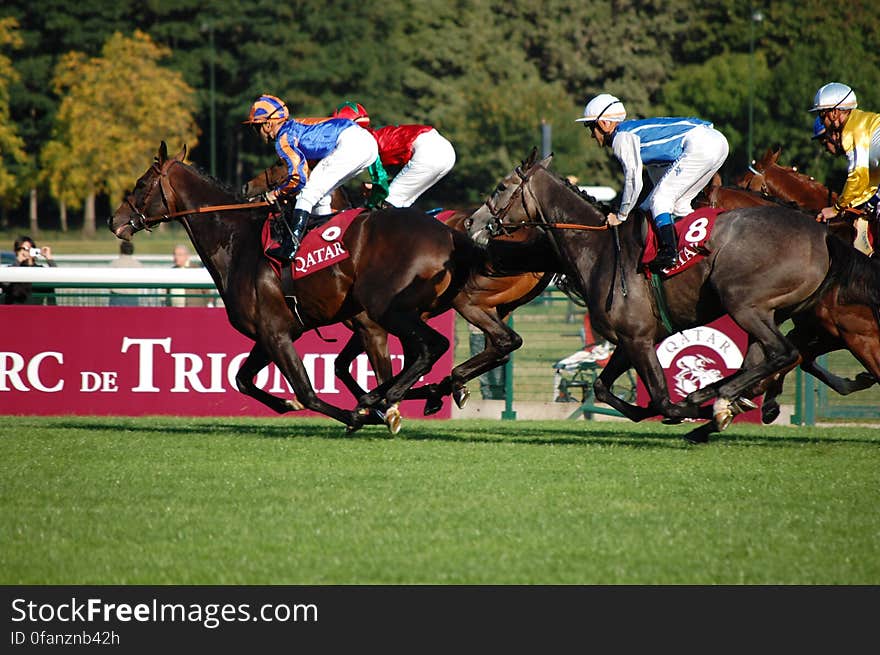 2008-09-14-Longchamp-Zarkana