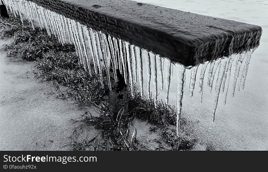 We had quite a bit of freezing rain overnight and everything was coated in ice when we went out for our morning walk. I thought I&#x27;d try something different with this image. We had quite a bit of freezing rain overnight and everything was coated in ice when we went out for our morning walk. I thought I&#x27;d try something different with this image.