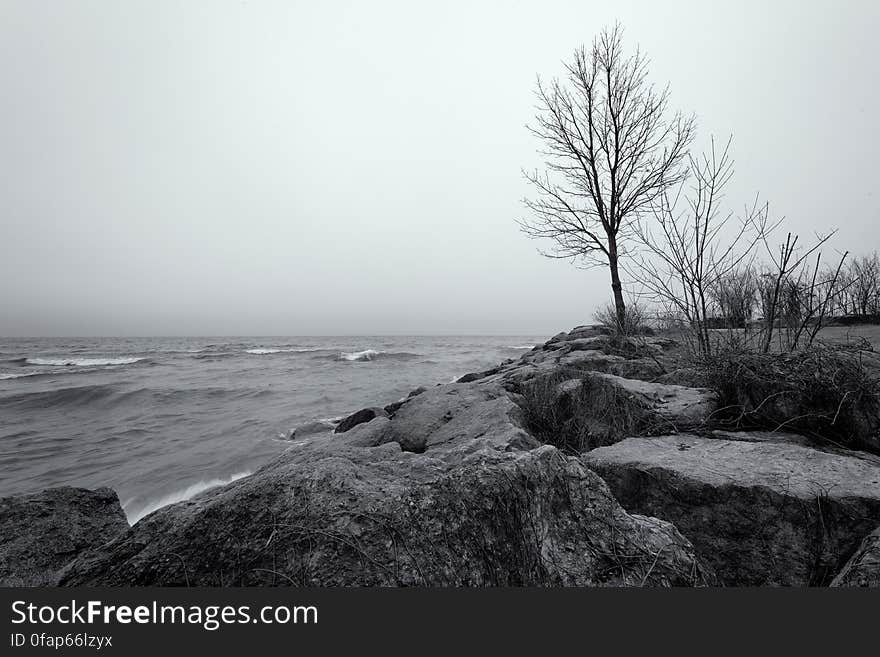 A cold, windy and damp day in Jack Darling Park in Mississauga. A cold, windy and damp day in Jack Darling Park in Mississauga.