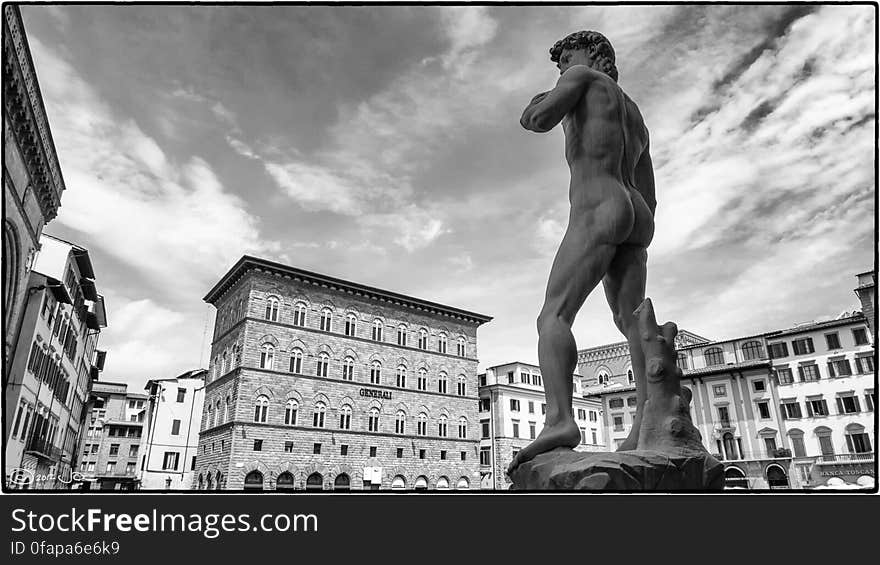 This is a replica David installed in the Piazza della Signoria in Florence, Italy. This is a replica David installed in the Piazza della Signoria in Florence, Italy.