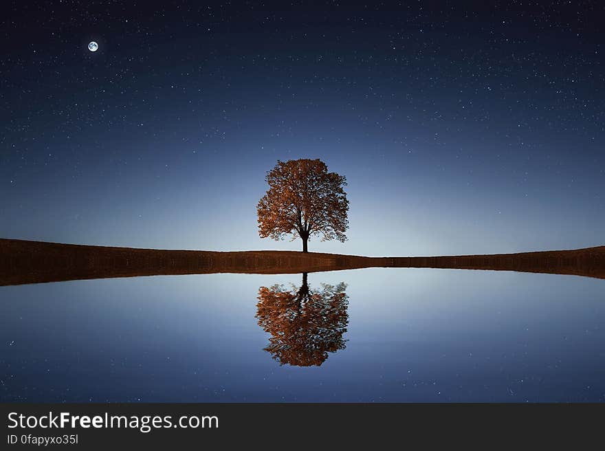 Tree reflecting in still waters of lake with moon in sky. Tree reflecting in still waters of lake with moon in sky.