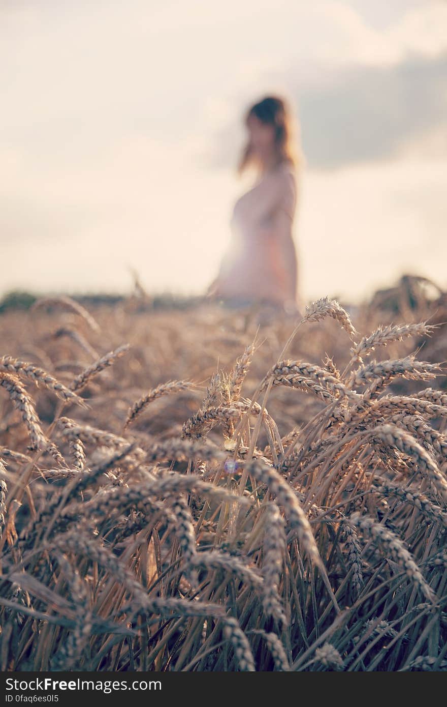 Woman in the Fields