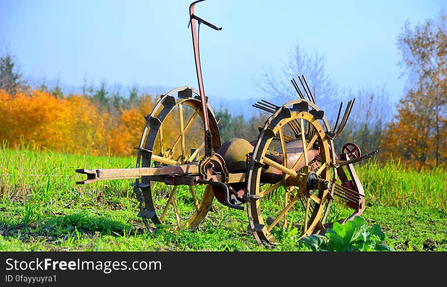 Horse Cart on Field Against Sky