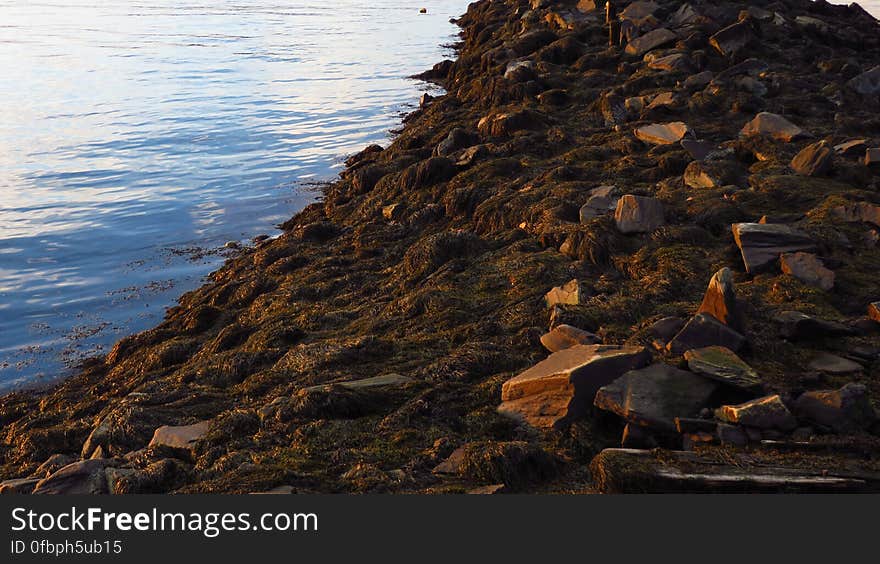 Breakwater at Sunset