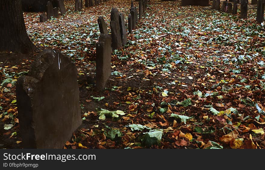 Kings Chapel Burial Ground