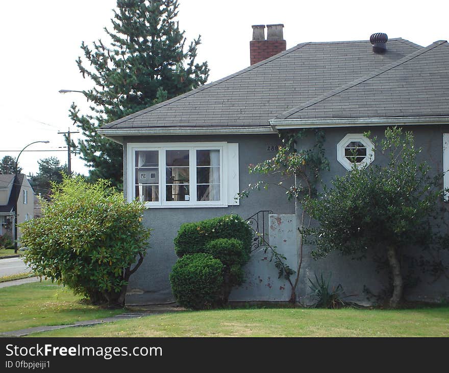 Plant, Window, Property, Sky, Street light, House