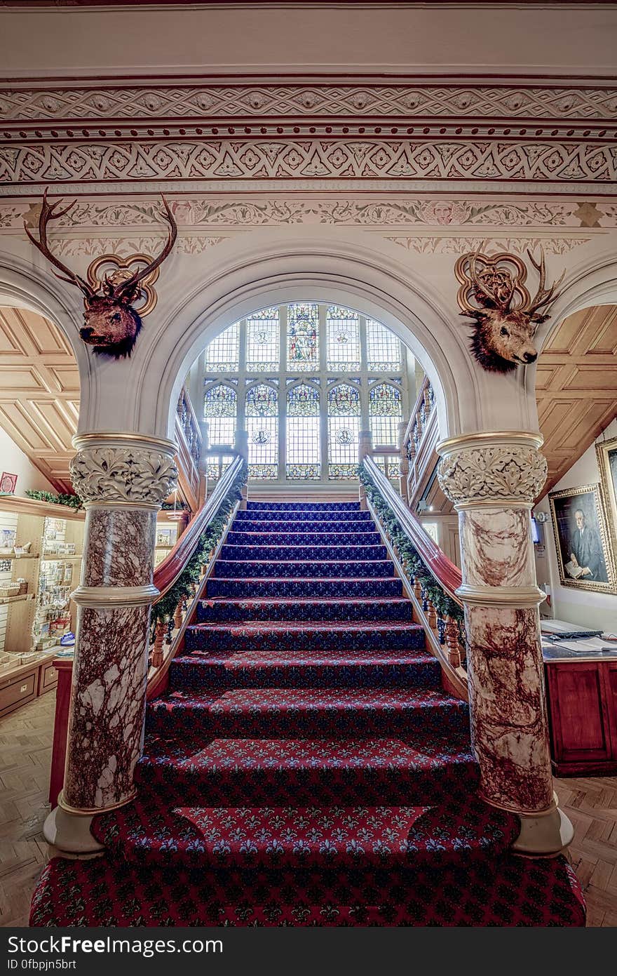 Here is an hdr photograph taken of the stairs in Cliffe Castle. Located in Keighley, Yorkshire, England, UK. &#x28;taken with kind permission of the administration&#x29;. Here is an hdr photograph taken of the stairs in Cliffe Castle. Located in Keighley, Yorkshire, England, UK. &#x28;taken with kind permission of the administration&#x29;