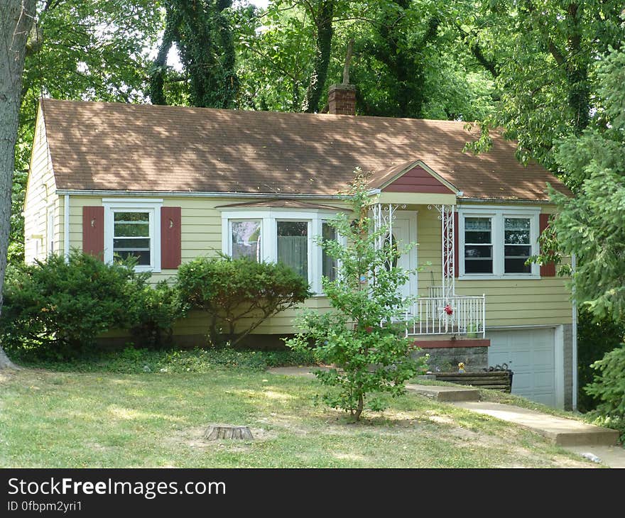 Plant, Building, Window, Property, Tree, House