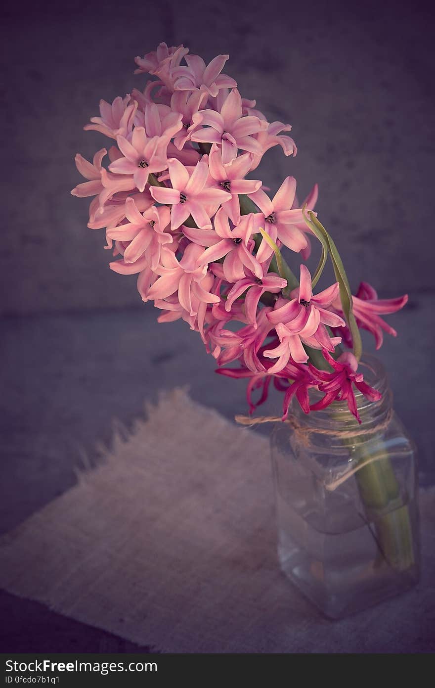 Purple Lily on Clear Glass Jar