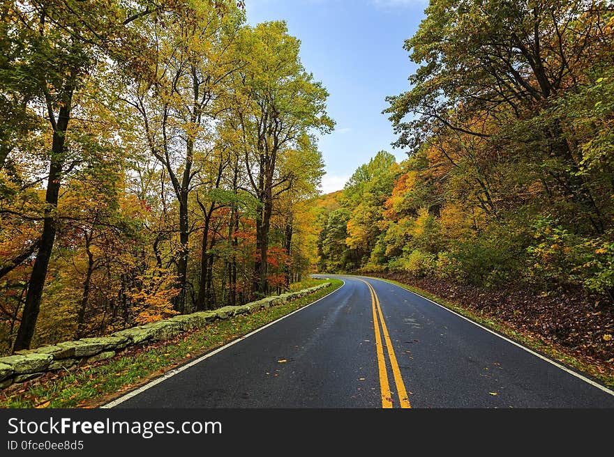 Empty road through forest with fall foliage on sunny day. Empty road through forest with fall foliage on sunny day.