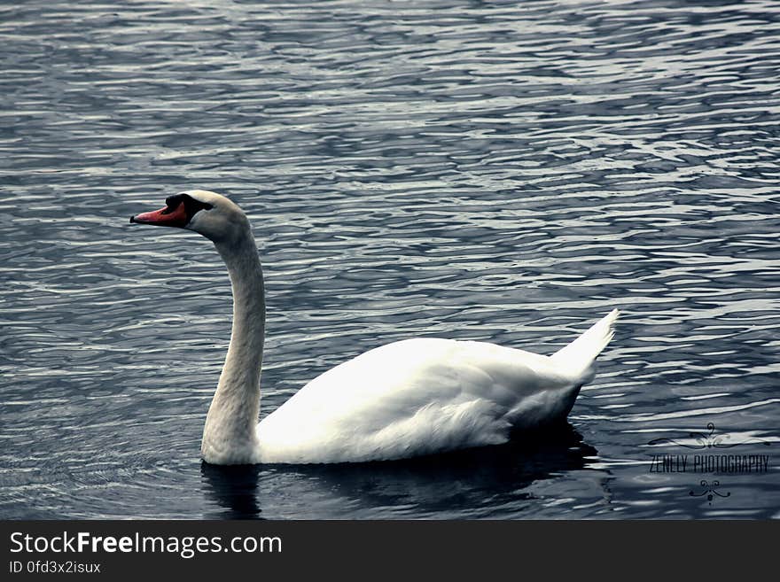 Salford Quays 4