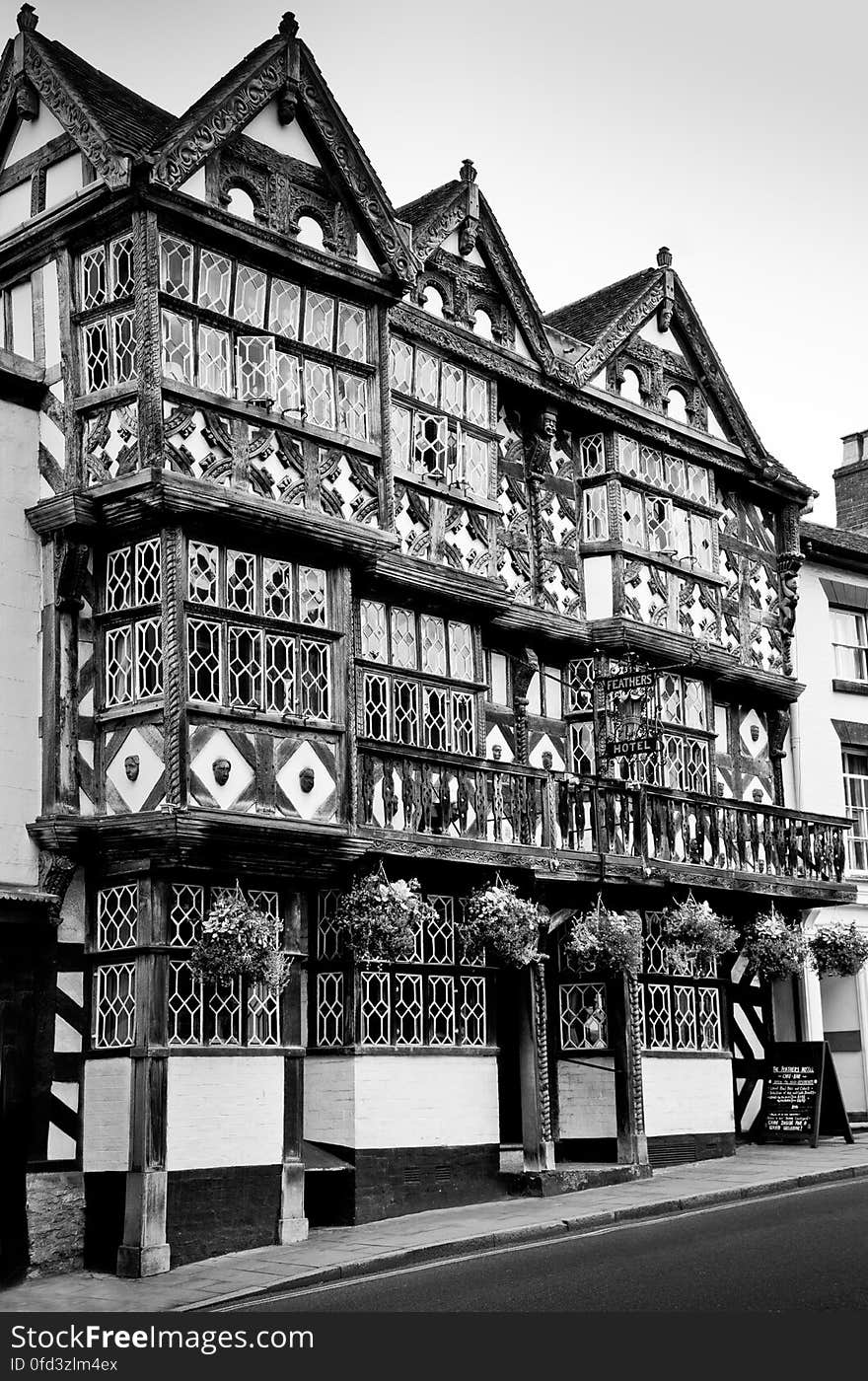 Here is a photograph I took from The Feathers Hotel. Located in Ludlow, Shropshire, England, UK.