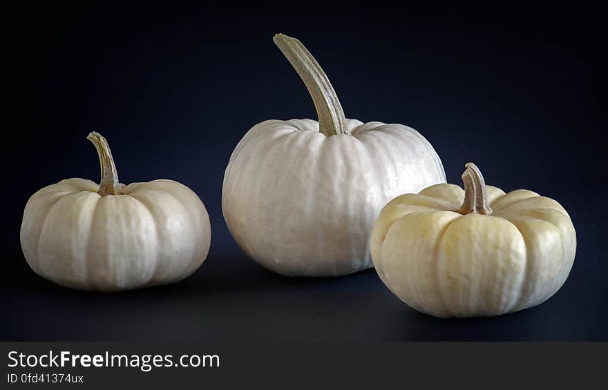 We bought some mini white pumpkins to decorate our Thanksgiving table this year. I thought I&#x27;d give focus stacking a try to see how it works out.