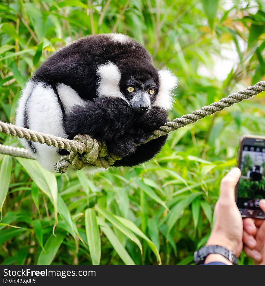 She was not impressed by his phone at all. She was not impressed by his phone at all.