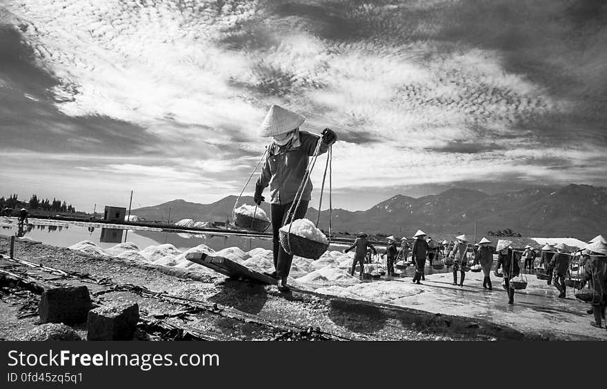 SALT FIELD