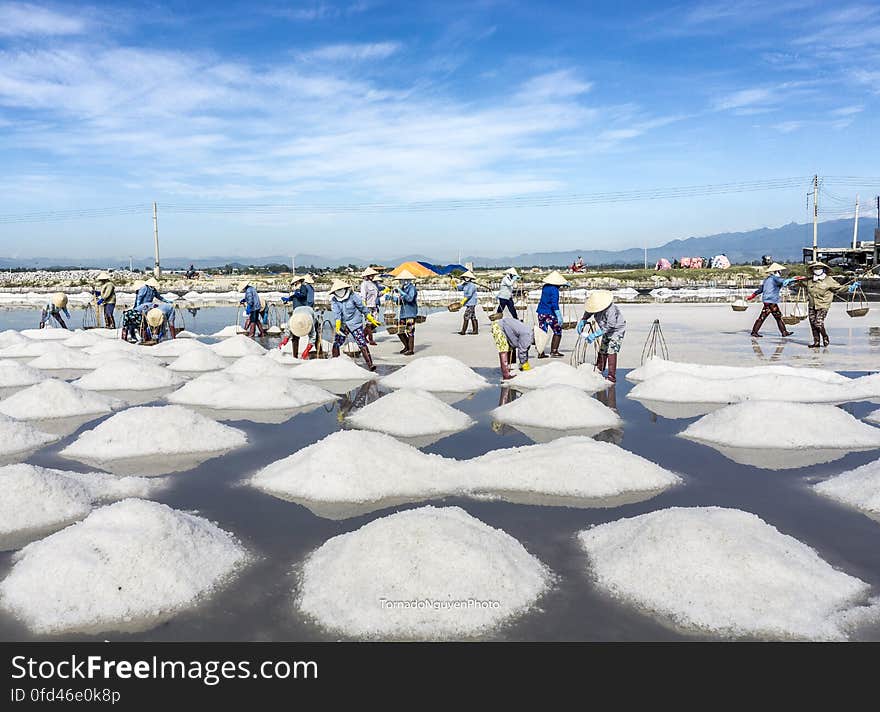 SALT FIELD