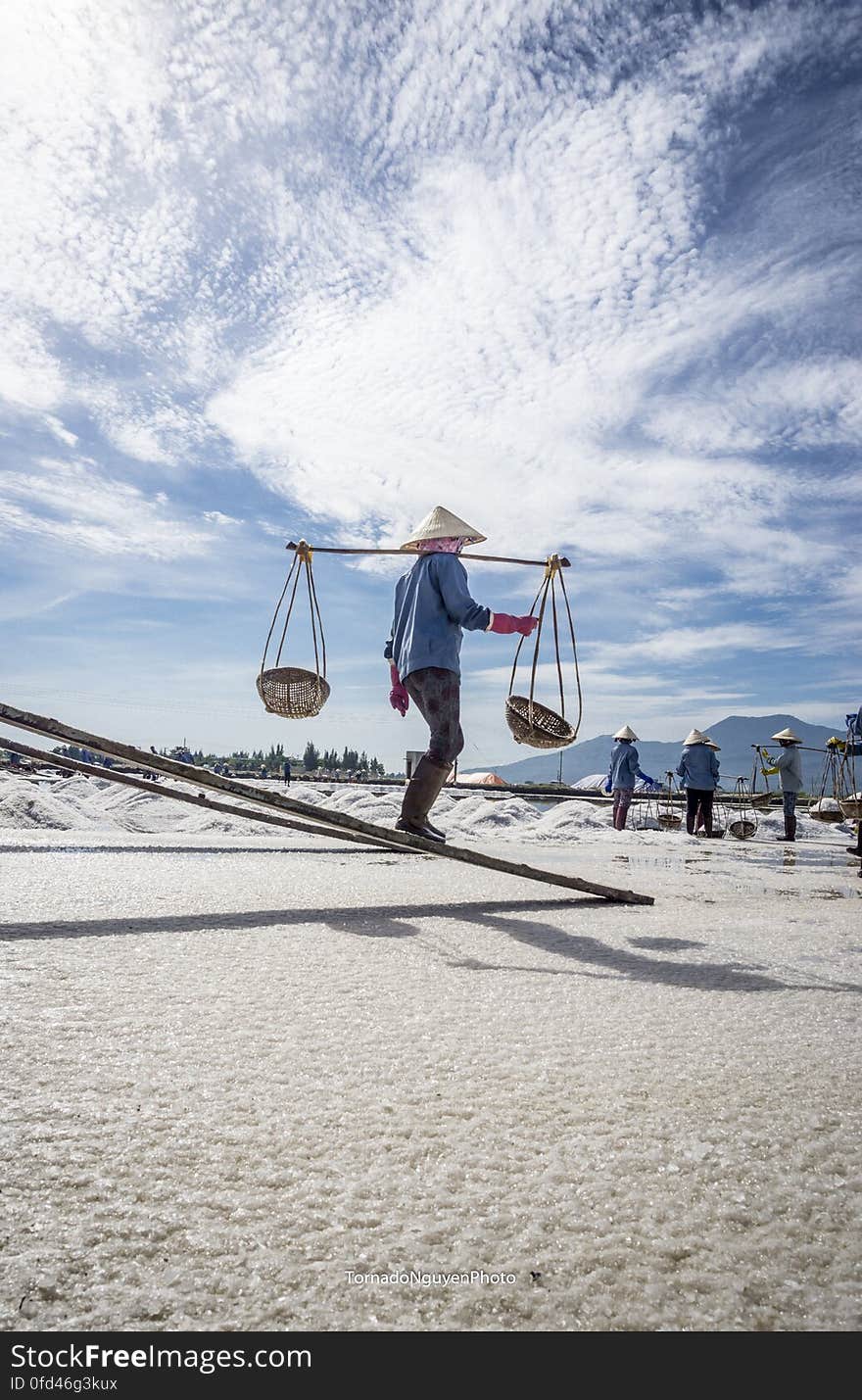 SALT FIELD