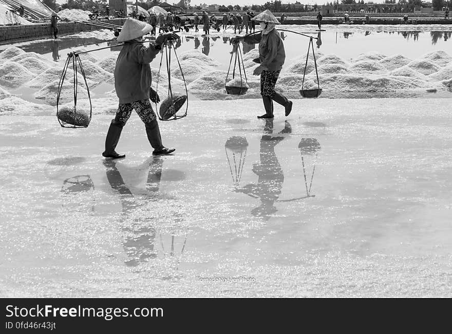 SALT FIELD