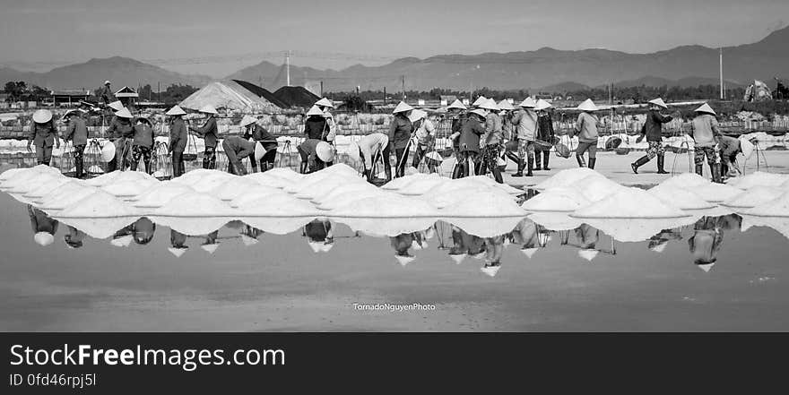 SALT FIELD