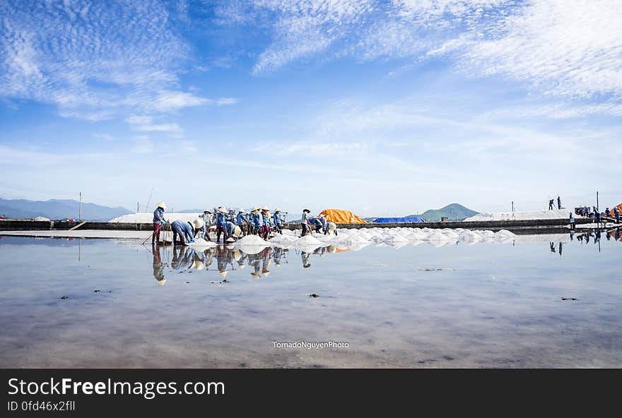 SALT FIELD