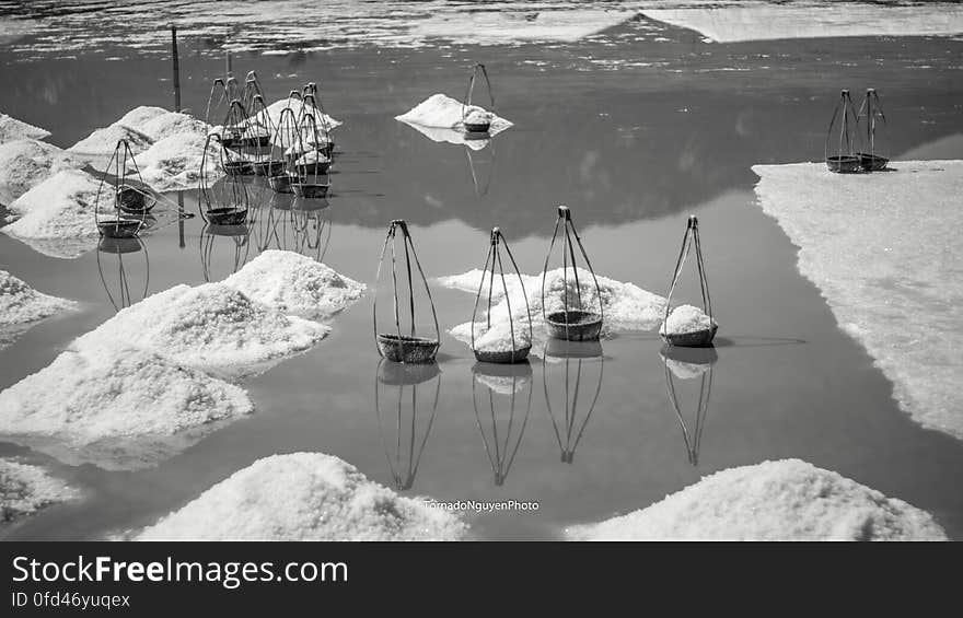 SALT FIELD