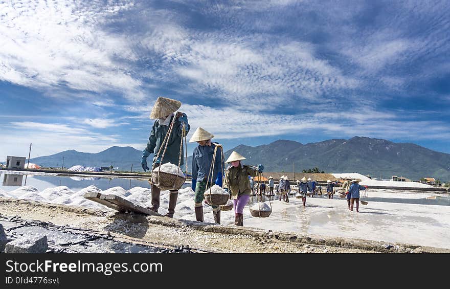 SALT FIELD