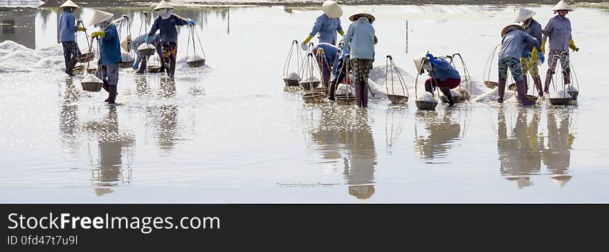 SALT FIELD