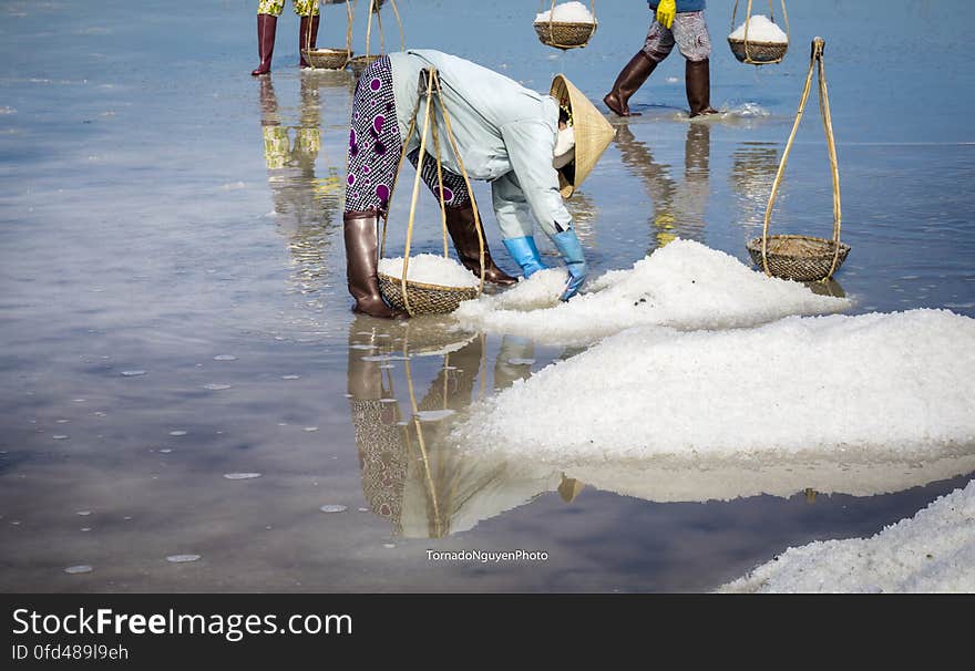 SALT FIELD