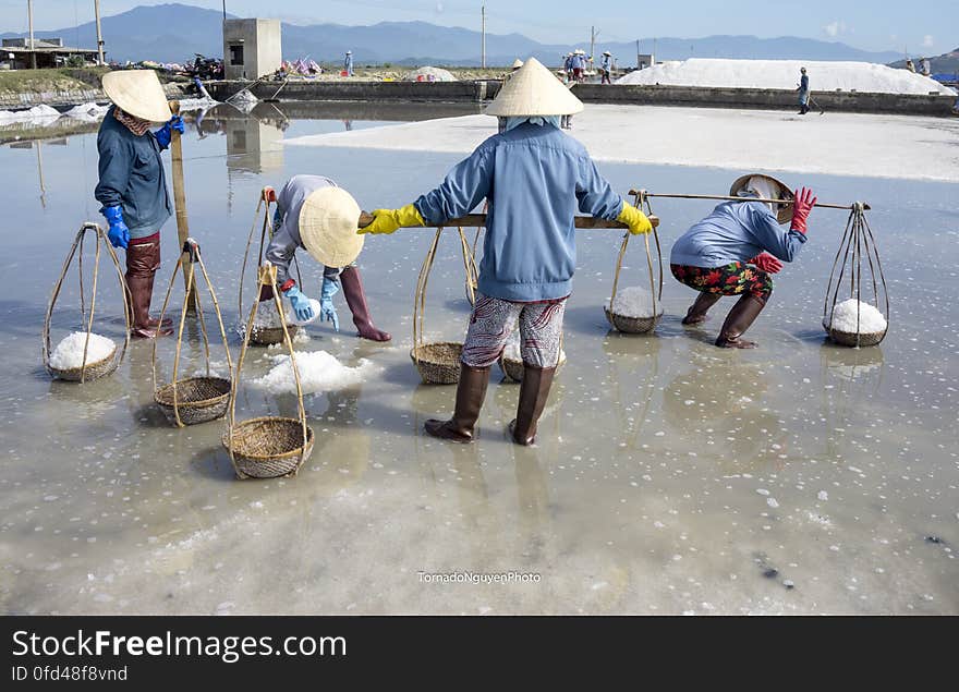 SALT FIELD