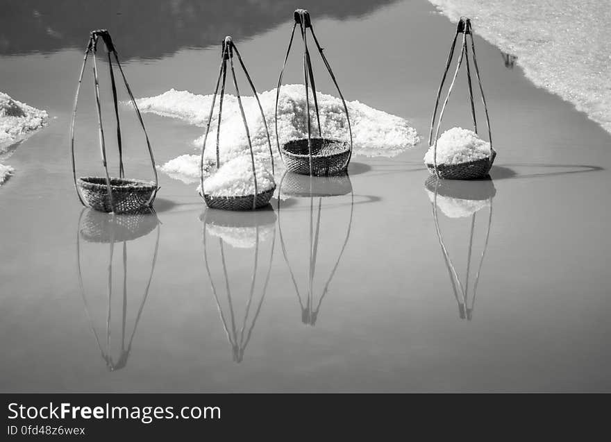 SALT FIELD