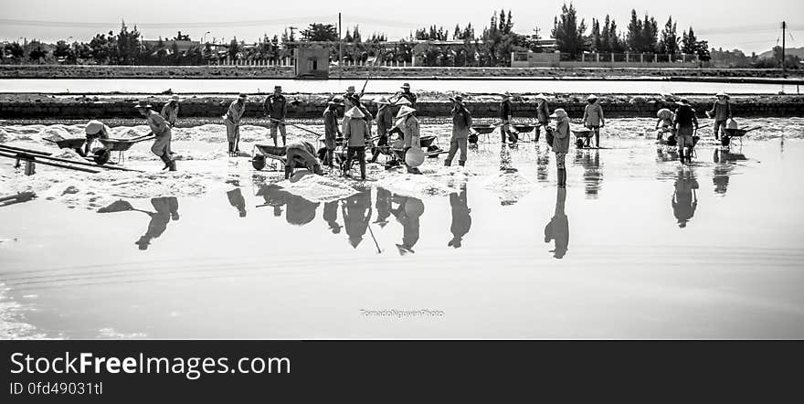 SALT FIELD