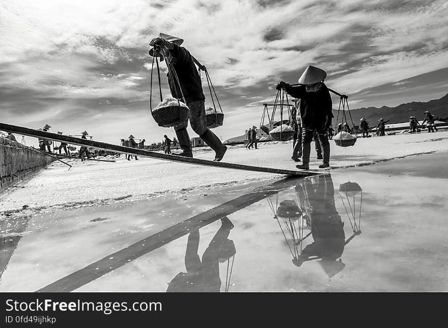 SALT FIELD