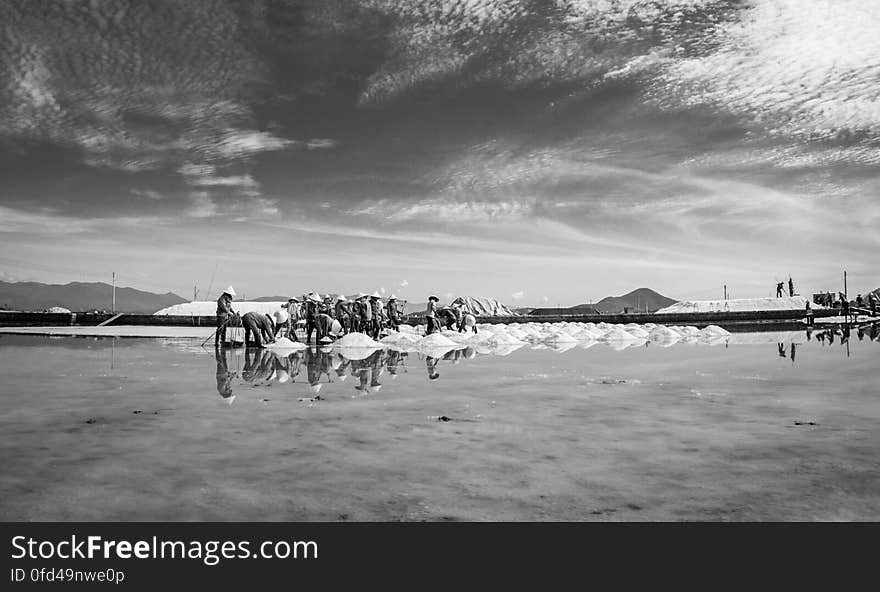 SALT FIELD