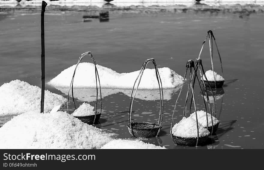 SALT FIELD