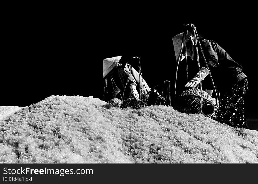 SALT FIELD