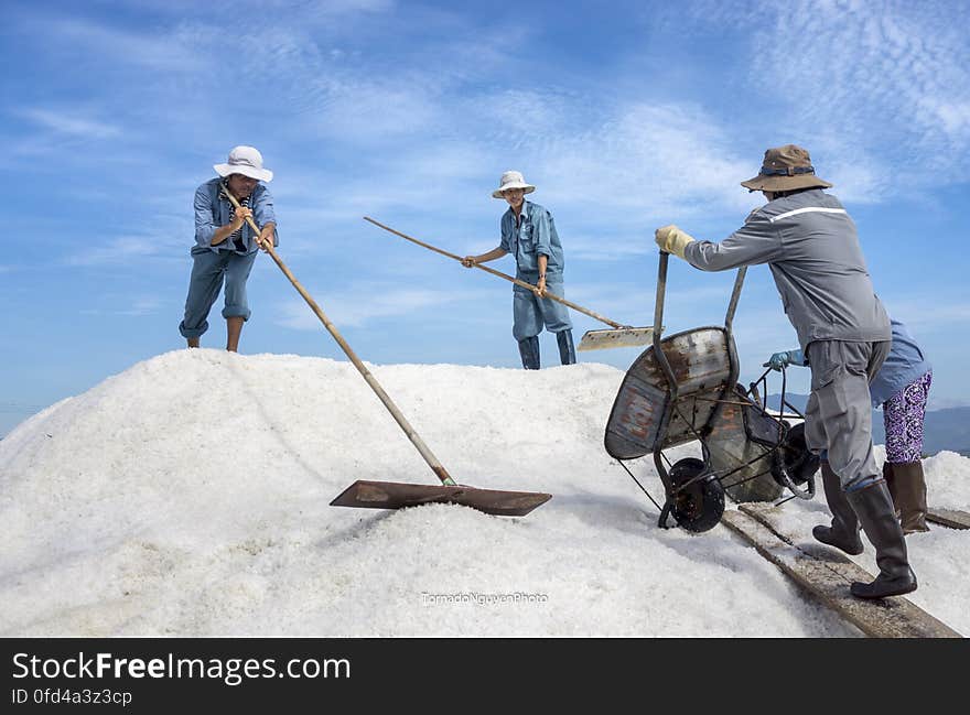 SALT FIELD