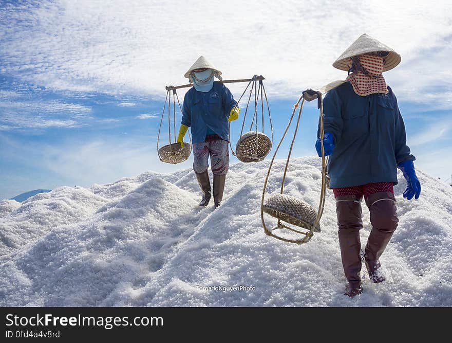 SALT FIELD