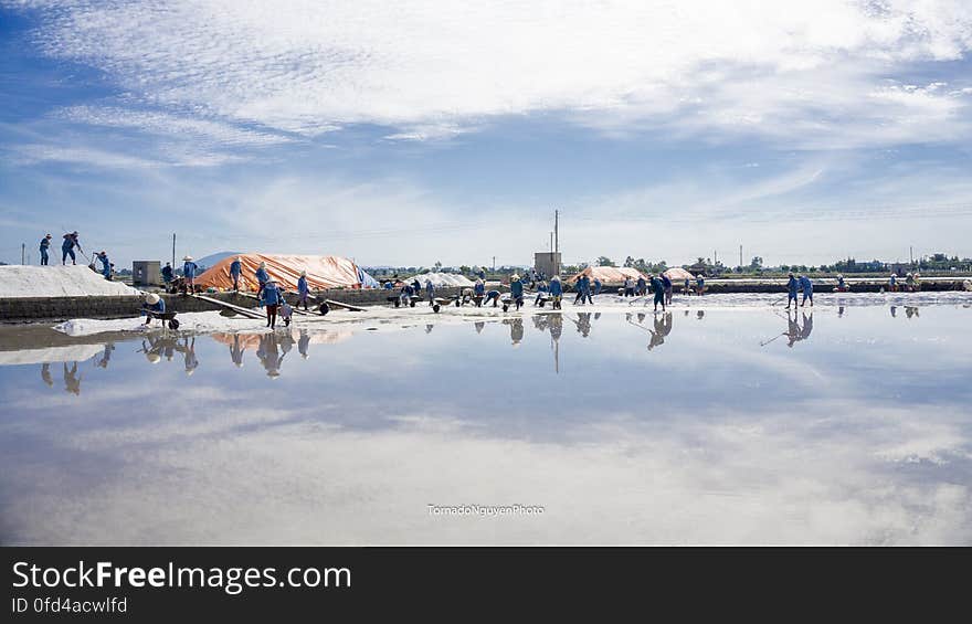 SALT FIELD