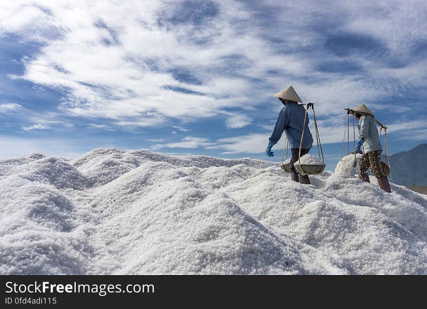 SALT FIELD