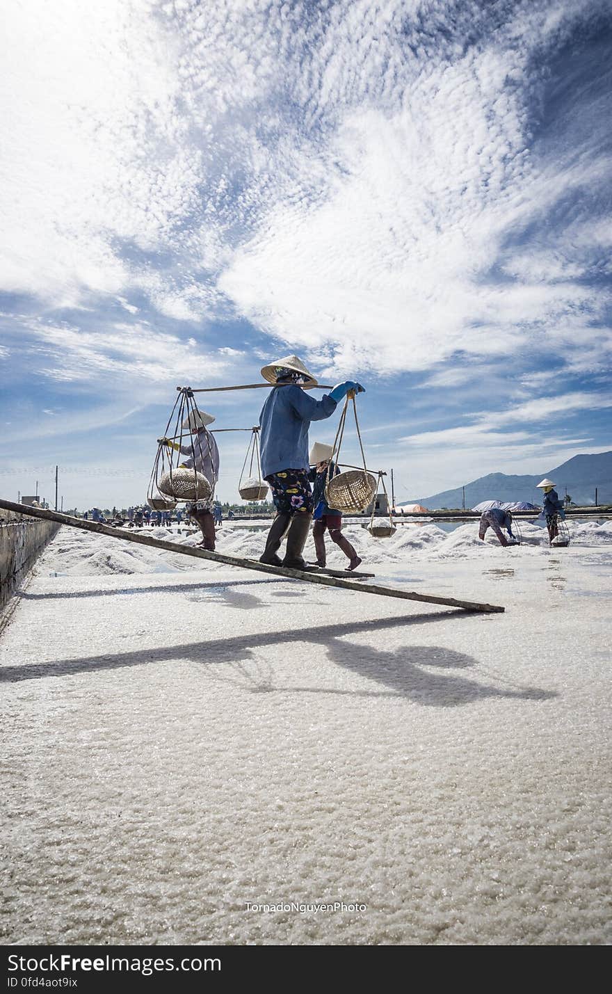 SALT FIELD