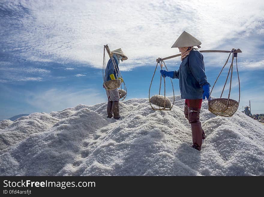 SALT FIELD