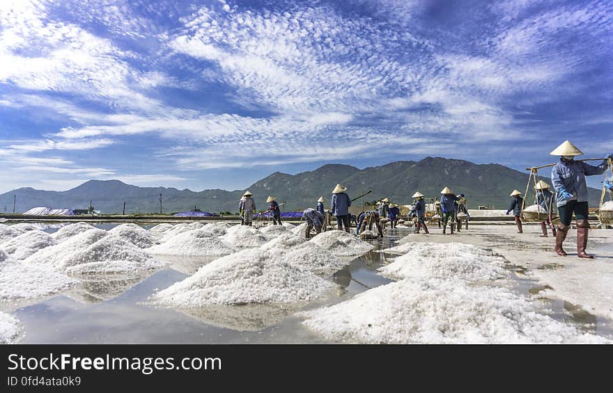 SALT FIELD