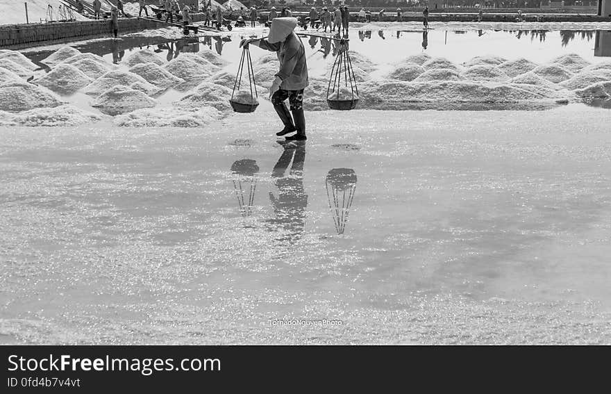 SALT FIELD