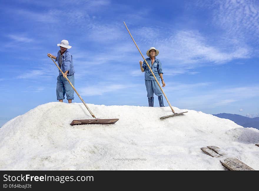 SALT FIELD