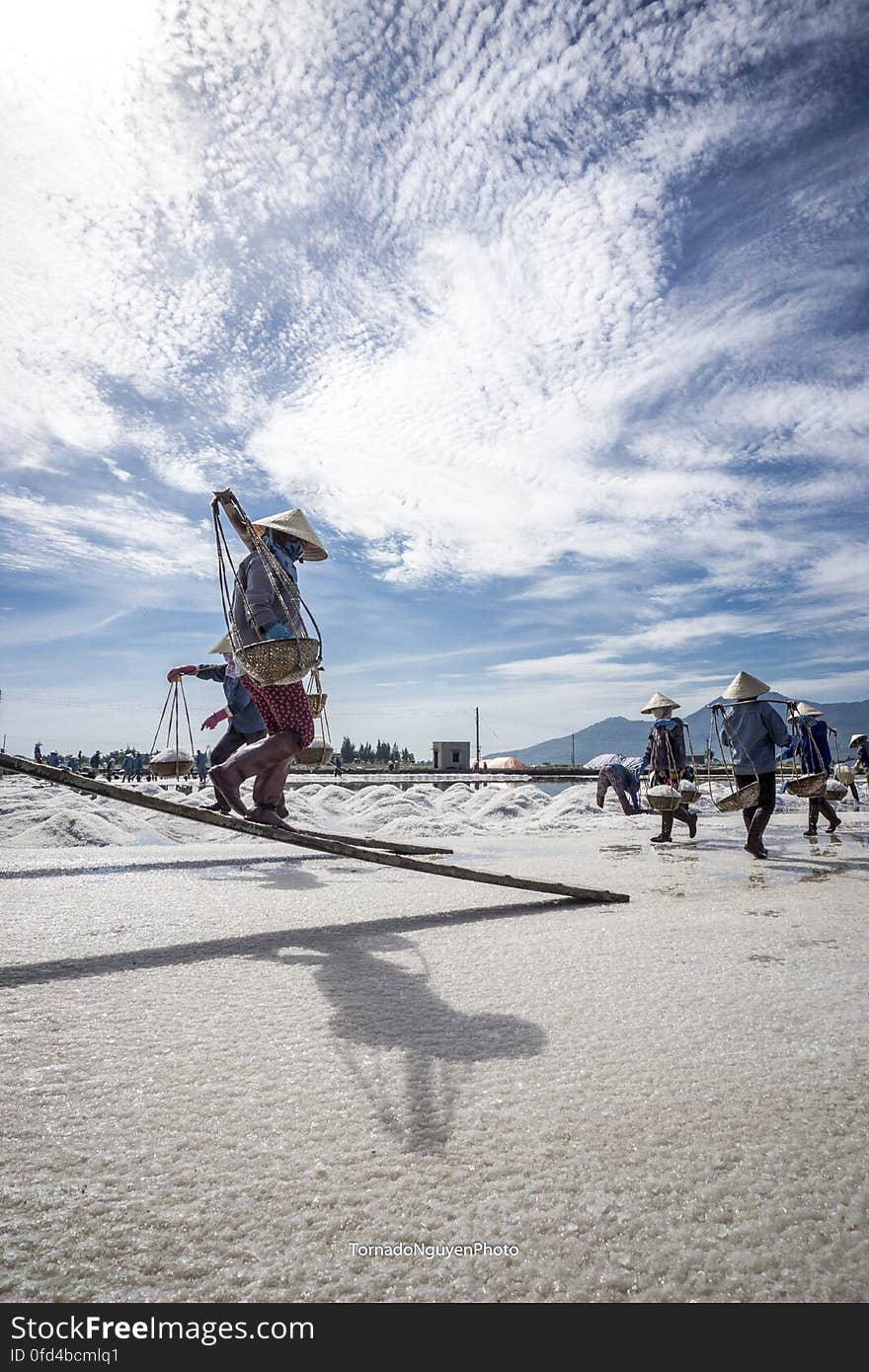 SALT FIELD