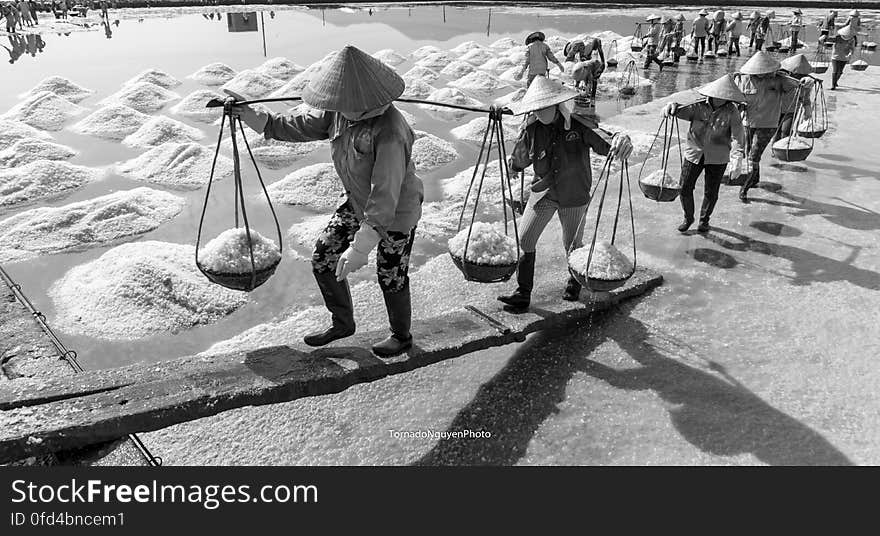 SALT FIELD